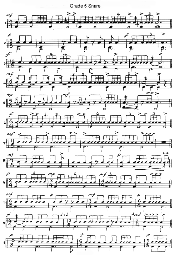 Grade 5 Snare.gif (137350 bytes)